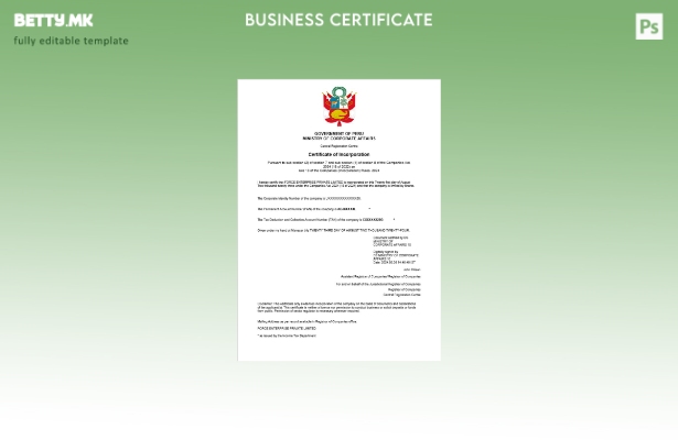 модерен стил Перу сертификат за регистрација на бизнис Шаблон за Word и PDF